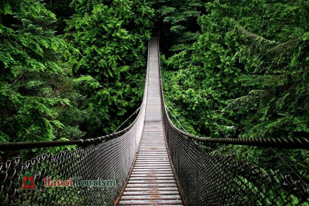 Cầu treo Capilano - Canada