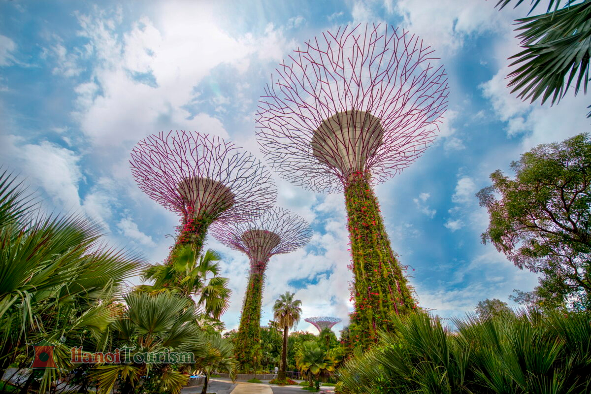 Garden By the Bay - Thái Lan