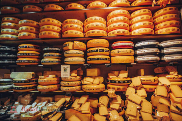 Nông trại phô mai De Catharina Hoeve – Zaanse Schans - Hà Lan
