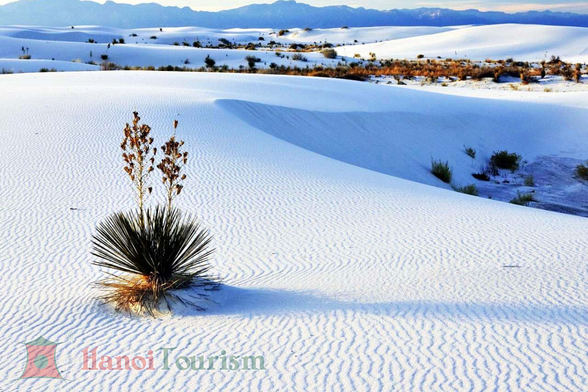 Sa mạc Trắng (White Desert) - Ai Cập