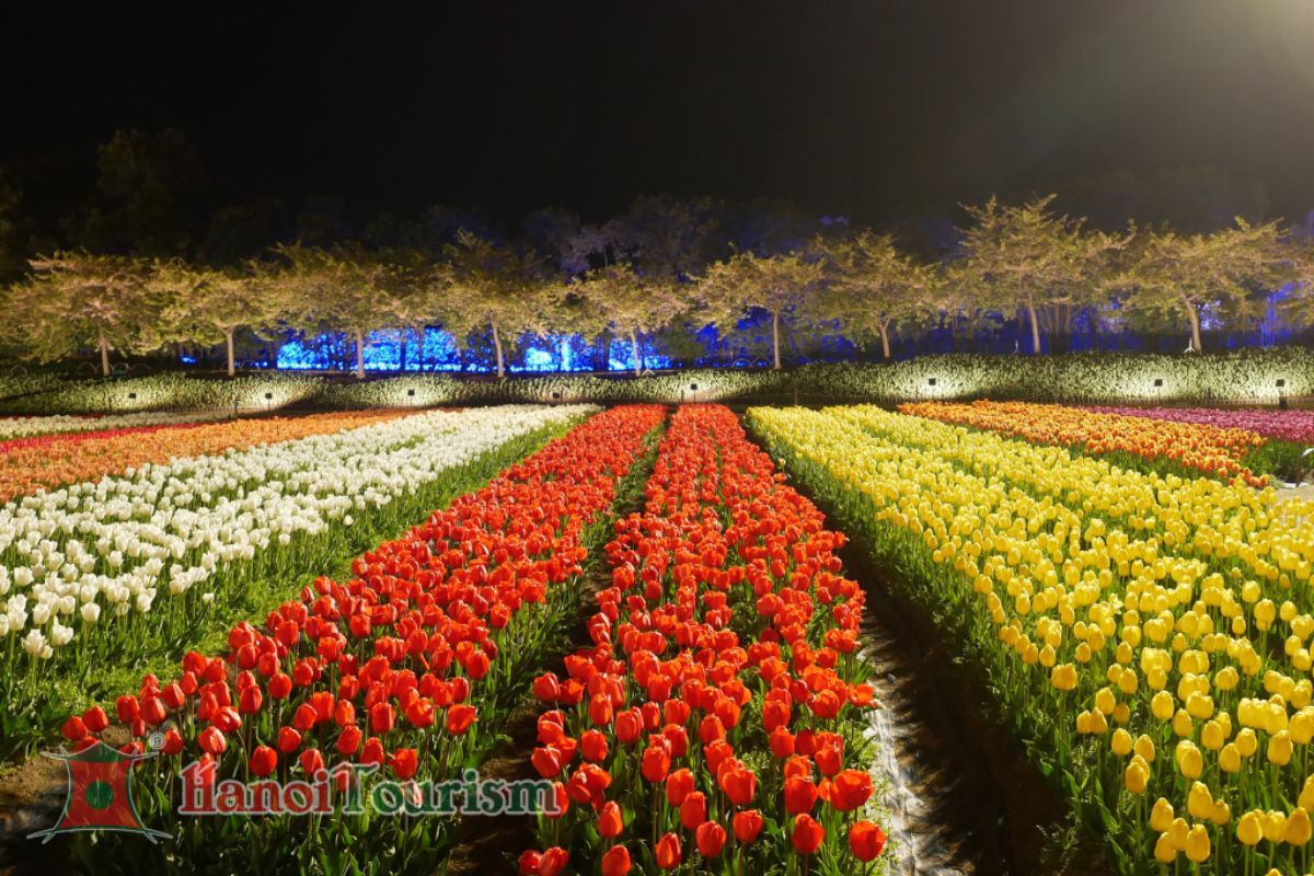 Nabana no Sato - Nagoya - Nhật Bản - Mùa đông